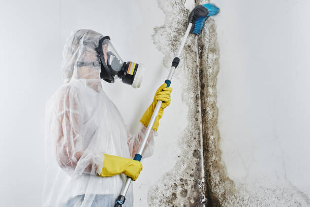 Mold Testing and Removal in Weatherford, OK