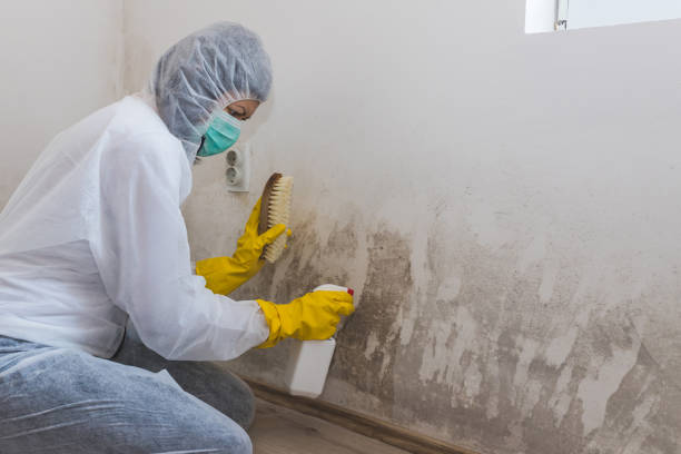 Best Mold Remediation Experts  in Weatherford, OK