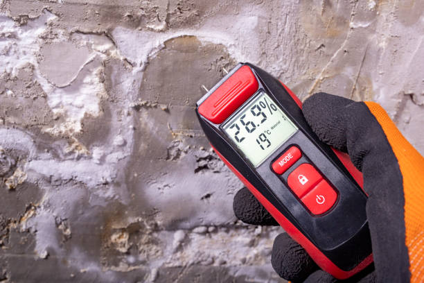 Mold Removal Process in Weatherford, OK