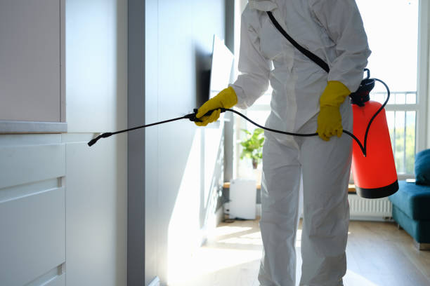 Best Best Mold Removal Companies  in Weatherford, OK