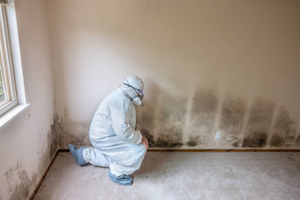 Best Residential Mold Removal  in Weatherford, OK