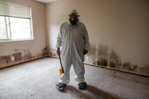 Best Black Mold Removal  in Weatherford, OK