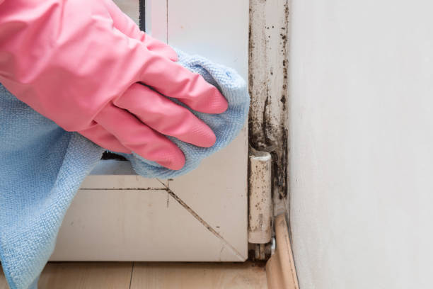 Certified Mold Removal in Weatherford, OK